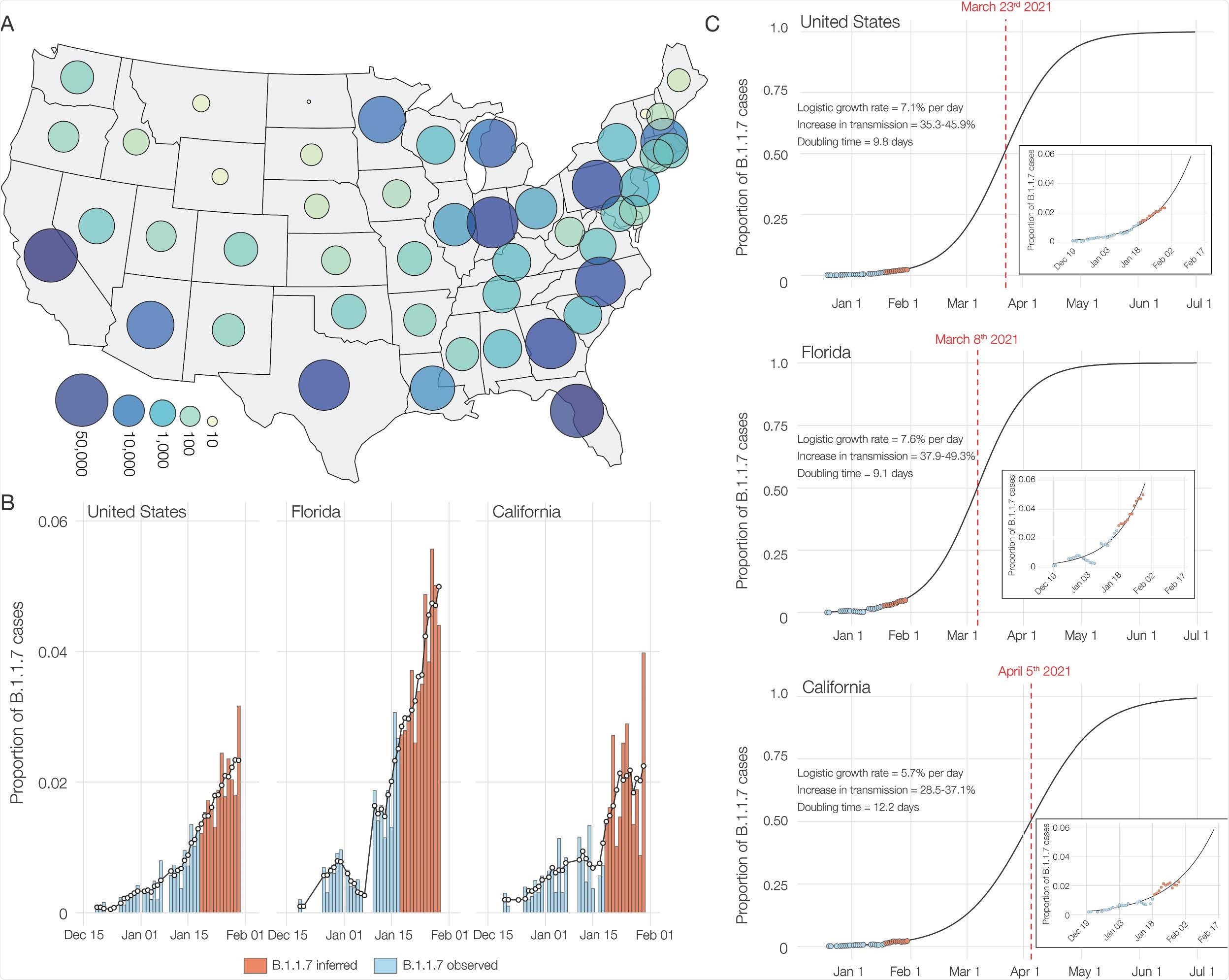 SGTF and B.1.1.7 in SARS-CoV-2 tests at Helix since December 15, 2020. (A) Map of contiguous states in the USA with each bubble representing the number of positive tests from each state. (B) Estimated proportion of B.1.1.7 in total number of positive tests with Cq(N gene) < 27, in the U.S., California and Florida from December 15th, 2020 to January 30th, 2021. The proportion of B.1.1.7 samples was estimated using: (Observed B.1.1.7 sequences/Sequenced SGTF samples) * (Positive tests with SGTF/Total positive tests). Due to the lag in sequencing, the average proportion of B.1.1.7 sequences in sequenced samples with SGTF from the last five days (January 13-18) was used to infer the proportion of B.1.1.7 cases in total positive tests for the January 19-30 time period between. The black line shows the 5-day rolling average of the estimated proportion of B.1.1.7 in total positives. (C) Logistic growth curves fit to the rolling average of the estimated proportion of B.1.1.7 in total positives for the U.S., Florida and California. The predicted time when the estimated proportion of B.1.1.7 cases crosses 0.5 is indicated in red.