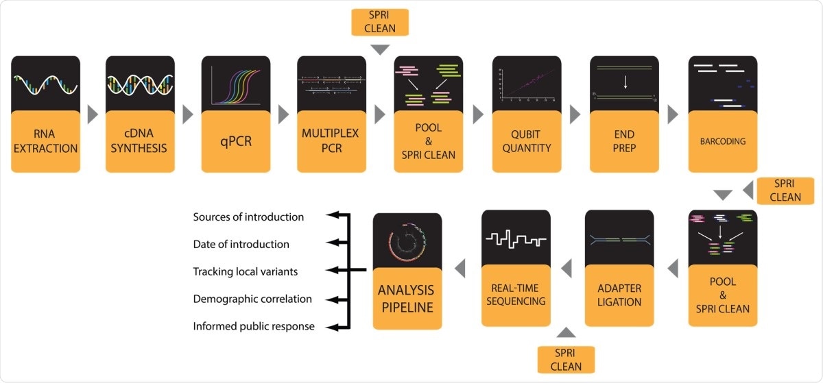 Workflow for SARS-CoV-2 viral genome sequencing with a MinION instrument.