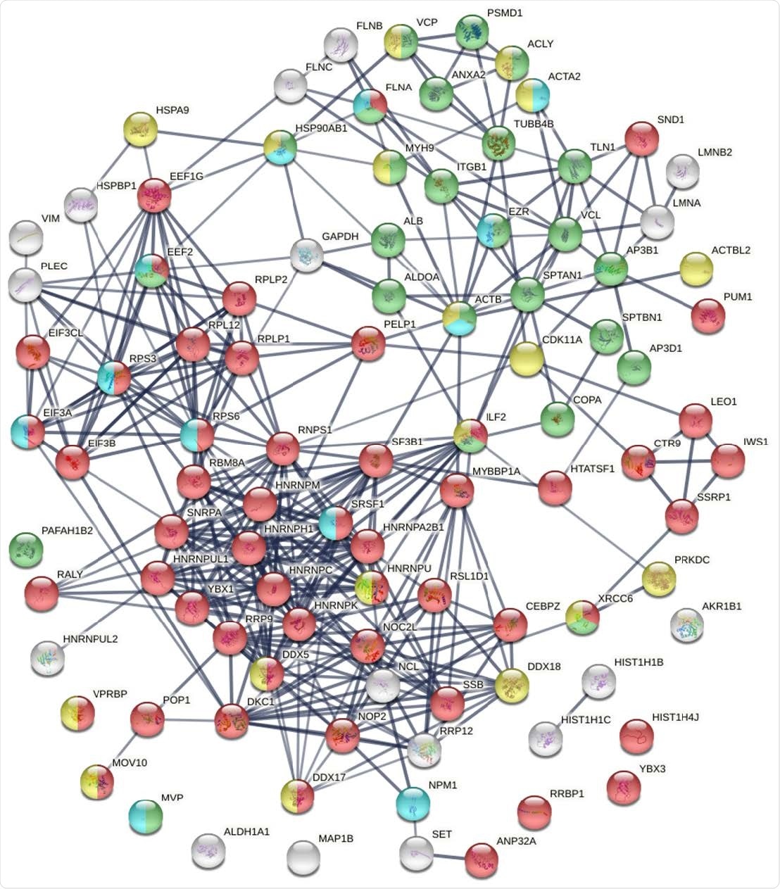 Known and putative autoAgs derived from phosphorylation alteration in SARS-CoV-2 infected cells. Marked proteins are associated with gene expression (52 proteins, red), vesiclemediated transport (25 proteins, green), ATP binding (18 proteins, gold), and kinase binding (12 proteins, aqua).