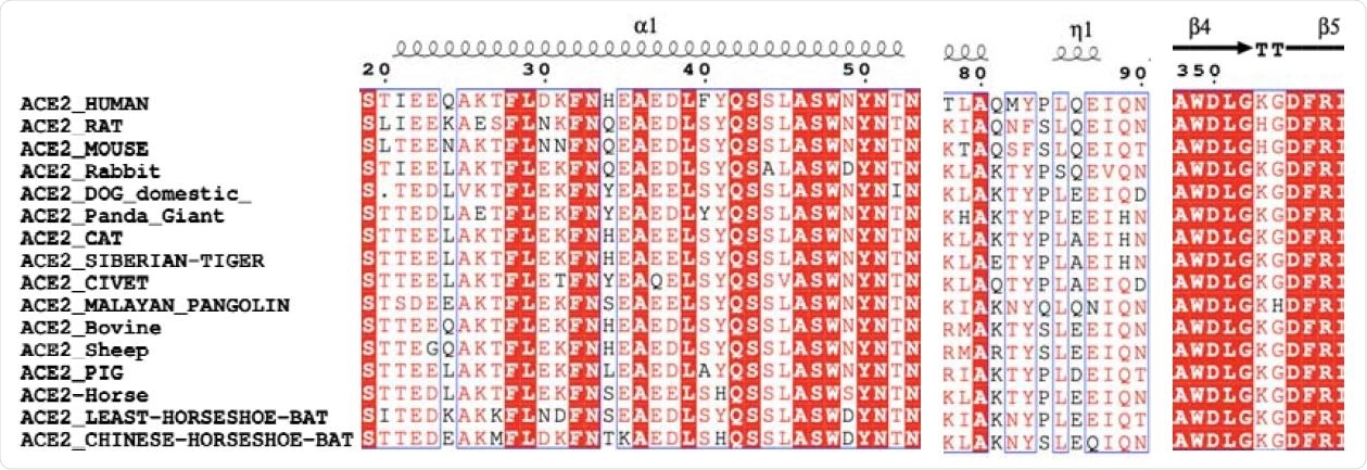 The comparison for the key residues at the binding interfaces after multiple sequence alignment analysis.