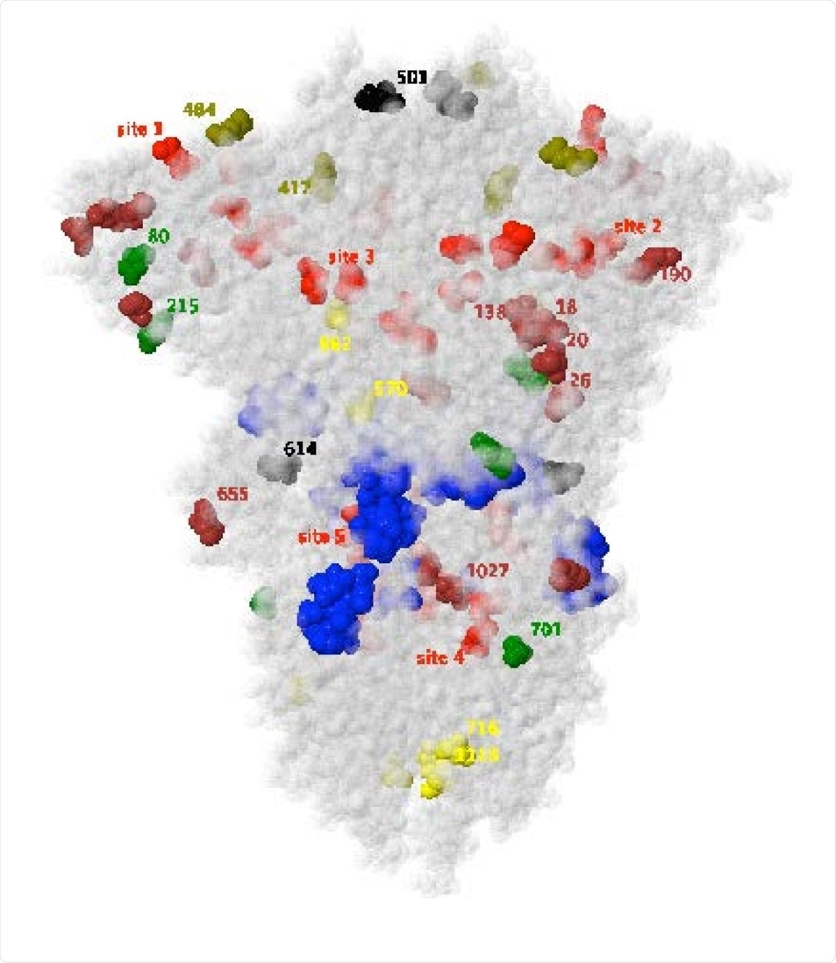Mutated sites of the SARS CoV-2 spike glyco- protein for the variants of concern depicted in PDB le 7df3, which does not model residue 618. Yellow, brown and green residues are respective mutations for the U.K., Brazil and S. Africa variants, with olive residues 417 and 484 common to the latter two, and black residues 501 and 614 common to all three.