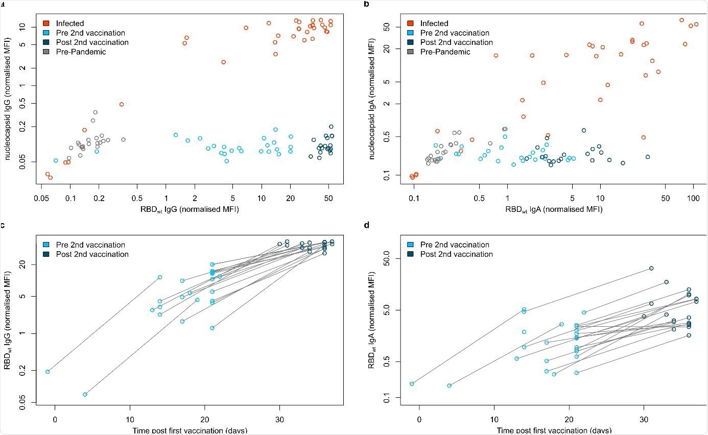 IgG and IgA response in serum samples of vaccinated, infected and negative individuals.