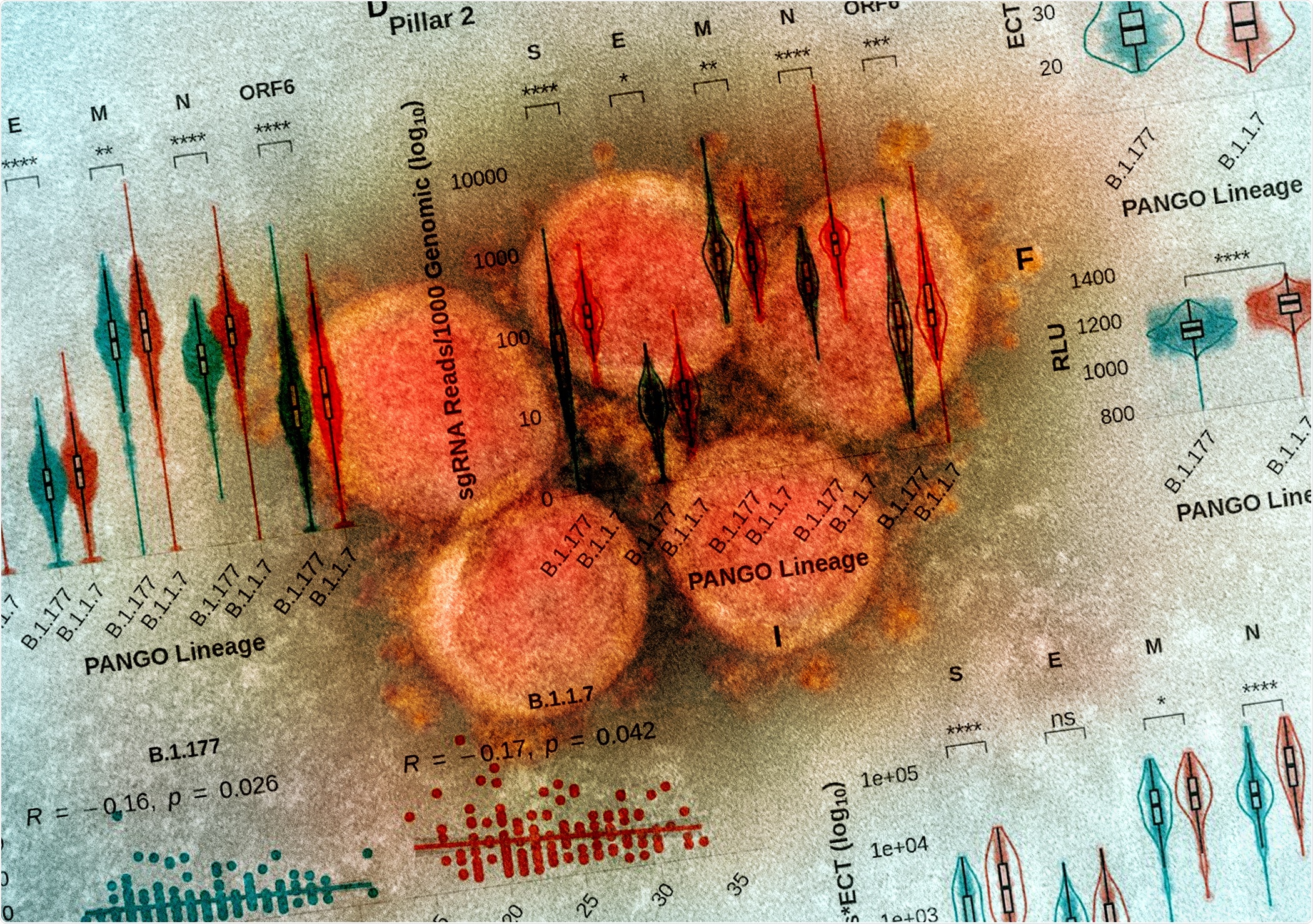 Study: Altered Subgenomic RNA Expression in SARS-CoV-2 B.1.1.7 Infections
