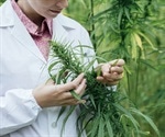 Cannabis compound inhibits SARS-CoV-2 replication in human lung cells
