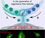 Scientists develop microfluidic probe for free radical attack on live cells