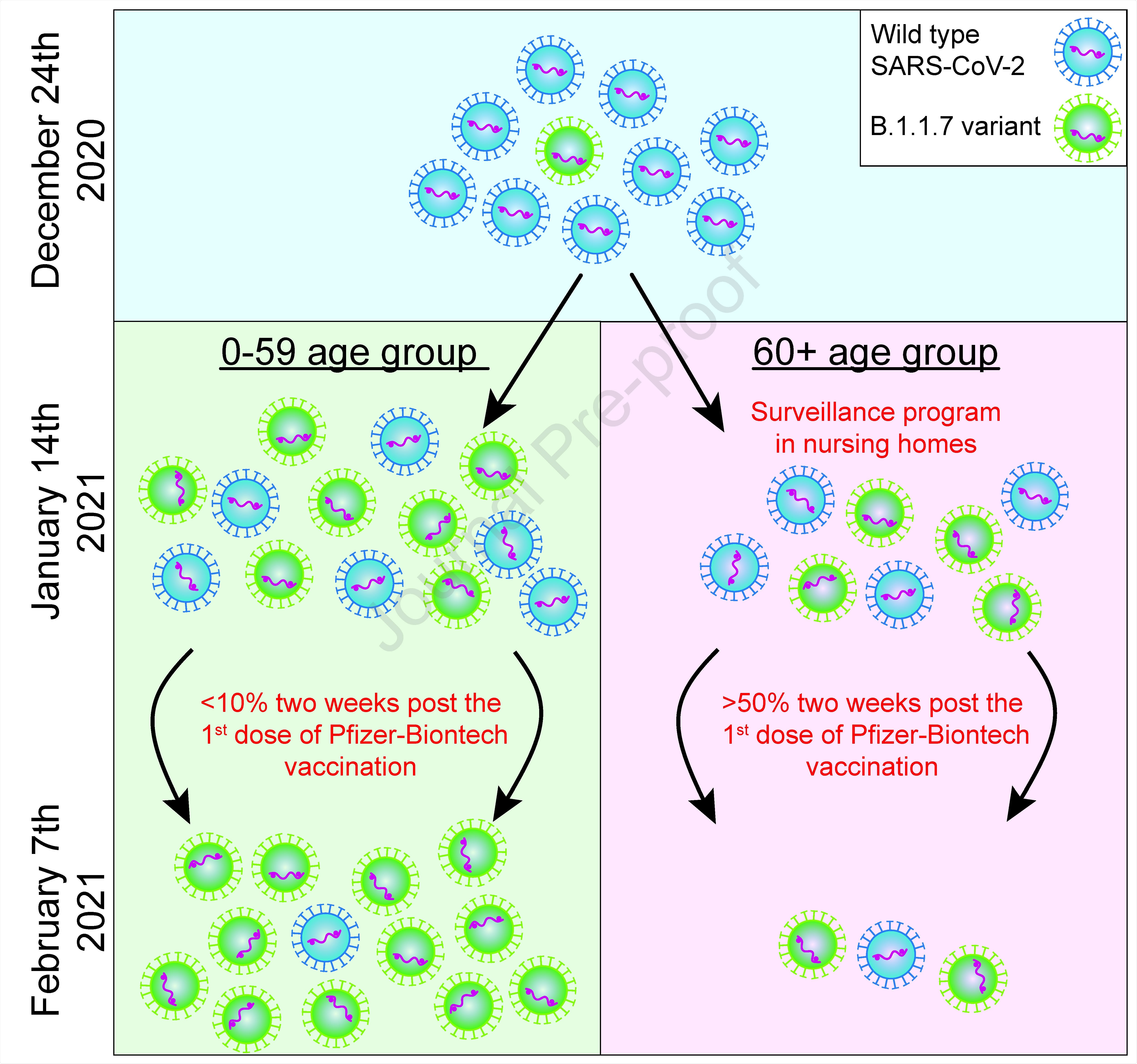 Spread of B.1.1.7 SARS-CoV-2 variant in Israel
