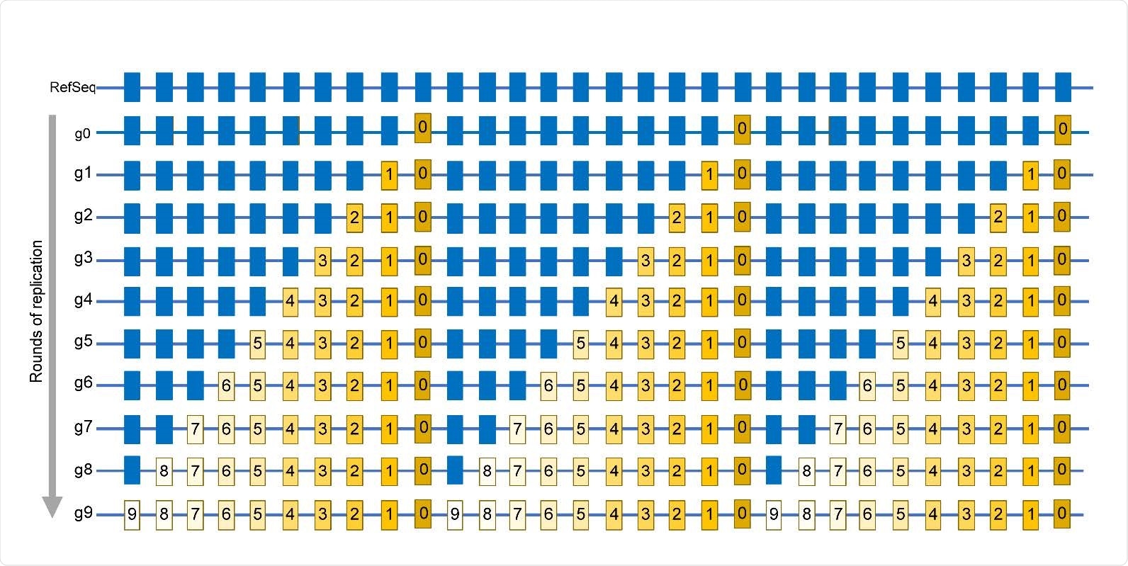 Simplified schematic of mutations accumulation in virus population. Mutations are identified by comparing a sequence of a viral isolate with a reference sequence (RefSeq). Positions in which mutations are found in at least one isolate are shown by rectangles. Blue rectangles are positions same as in RefSeq. g0 – A genome of virus quasispecies starting a population that may already have some differences from RefSeq. g1 – g9 rounds of replication generating additional mutations, which are numbered same as the generation in which a mutation event had occurred. Mutations occurring in later generations would be present in smaller fractions (reflected by the decreasing yellow color density) within the population. The entire set of independent mutation events would be described by the list in which every mutation is represented only once, regardless of the number of genomes where it is found. In this population, such a list is represented by the g9 genome.