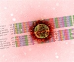 SARS-CoV-2 mutations strengthen RBD-ACE2 binding, making the virus more infectious