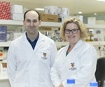 UNSW researchers find novel way to attack the 'fortress' surrounding pancreatic tumors