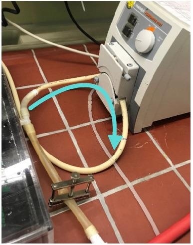The connected pump with the PharMed® tubing. Also shown is the flow or pump direction of the running buffer.