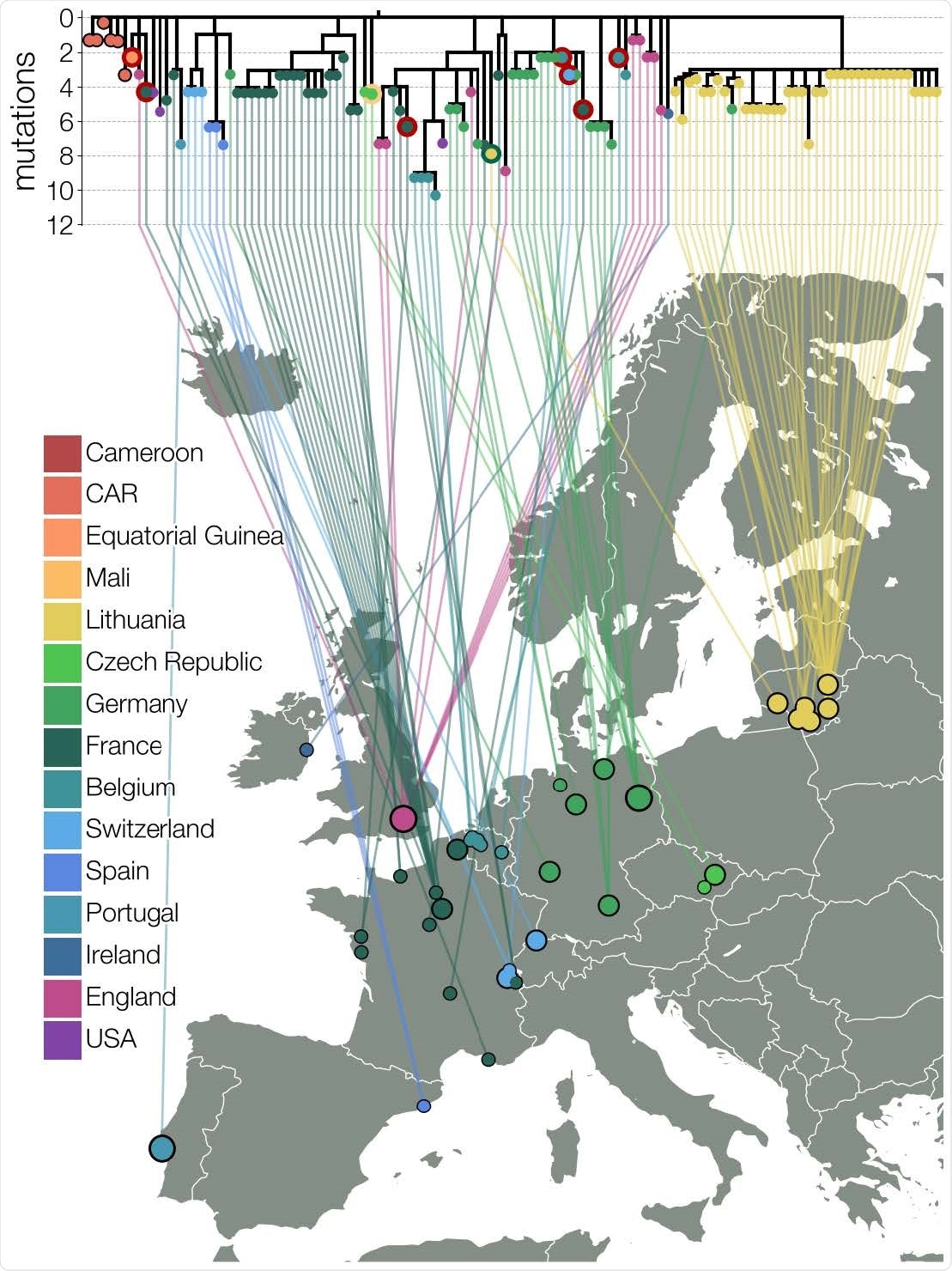 Maximum likelihood tree of lineage B.1.620 in Europe. Relationships between B.1.620 genomes, coloured by country of origin (same as Figure 1) with a thicker coloured outline indicating country of origin for travel cases. At least seven genomes shown (samples collected in Belgium, Switzerland, France, and Equatorial Guinea) are from individuals who returned from Cameroon, one is from a traveler returning from Mali and one Lithuanian case returned from France. Genomes from CAR and Czechia (returning traveler from Mali) are descended from the original B.1.620 genotype, while the genome from Equatorial Guinea is already closely related to genomes found in UK and happens to be a travel case from Cameroon. Each genome is connected to available geographic location in Europe with smallest circles indicating municipality-level precision, intermediate size corresponding to county level information (centered on county capital) and largest circle sizes indicating country level information (centered on country capital).