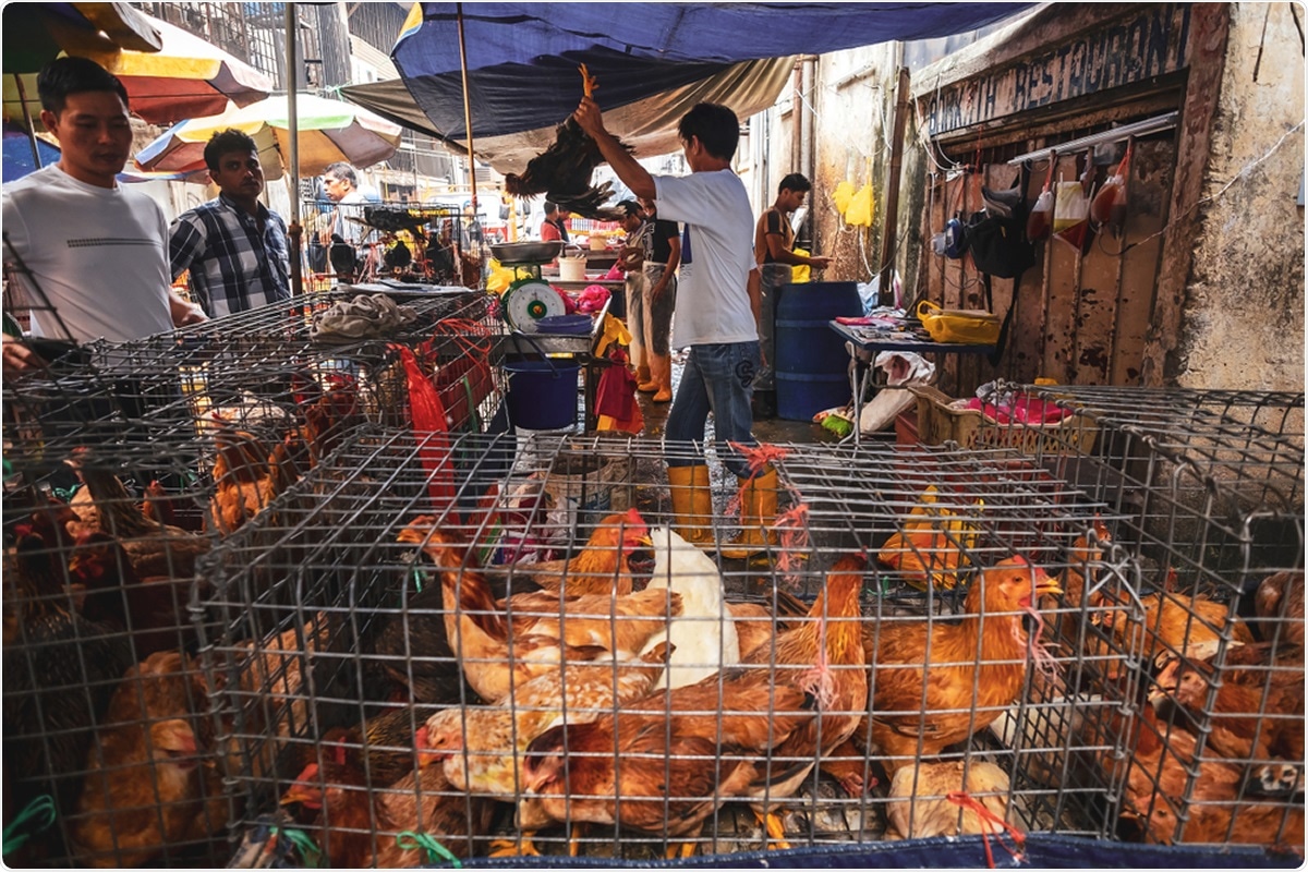 Study: The Constant Threat of Zoonotic and Vector-Borne Emerging Tropical Diseases: Living on the Edge. Image Credit: Sabino Parente / Shutterstock