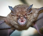 Discovery of novel SARS-related coronaviruses in bats