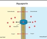 What are Aquaporins?