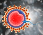 Study reveals no negative effect of SARS-CoV-2 BNT162b2 vaccination on male fertility