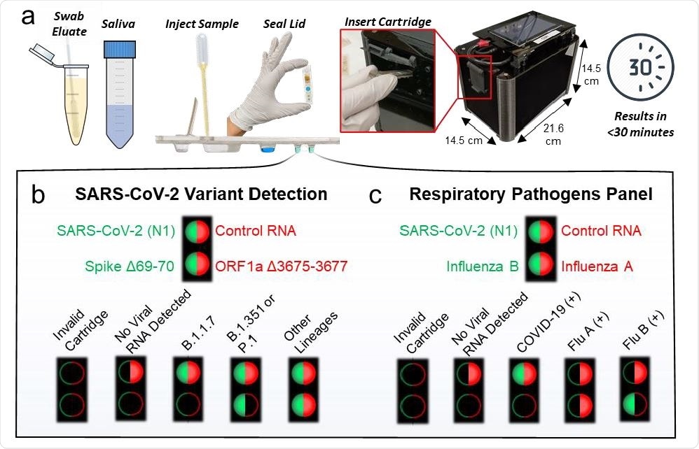 Cartridge platform operation. a, Nasal swab eluate or saliva is injected directly into the cartridge with magnetic beads followed by sealing the cartridge and inserting it into the instrument. After magnetofluidic sample preparation and PCR, the instrument reports the assay results on the built-in touchscreen within 30 minutes. b, Each PCR well contains two fluorescent probes in the FAM (green/left) or Cy5 (red/right) spectrum. Cartridges include a duplexed assay for the conserved N1 SARS-CoV-2 sequence and control RNA in the first well. The cartridge designed for detection of SARS-CoV-2 variants includes a duplexed PCR assay in the second well with probes spanning regions that contain deletions found in variants of concern. A lack of amplification in the second well indicates the presence of a mutation and can be used to classify the type of variant present. c, Cartridges designed for multiplexed detection of respiratory pathogens have a duplexed Influenza A and Influenza B PCR assay in the second well.