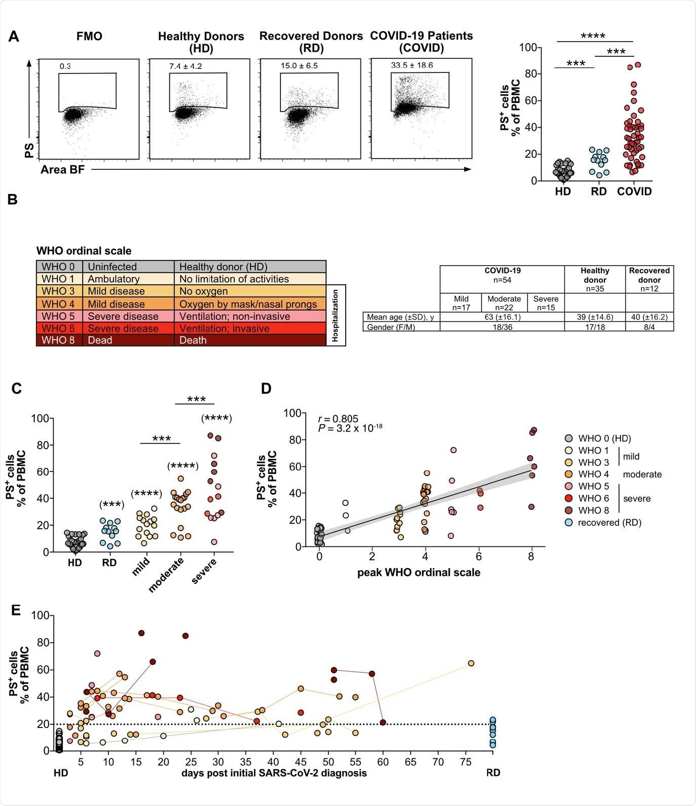The frequencies of PS+ PBMC from COVID patients correlates with disease severity. (A) PBMC from COVID-19 patients (COVID), healthy donors (HD), and recovered donors (RD) were stained for PS and analyzed by flow cytometry. Numbers in dot plots correspond to the percentage of PS+ cells in the gate shown. The right-hand graph shows the summary of all percentages. (B) Overview of WHO ordinal scale and color code used. Table shows the number, age and gender of the different study groups. (C) Grouped analysis of the data from (A). (D) Same as (C), but plotted against the WHO ordinal scale (n = 38-79) (B). PS+ PBMCs correlate with the severity of the disease. The plot shows the Spearman correlation test and linear regression line with 95% confidence interval shading (A, C, D: HD, n = 30; RD, n = 12; COVID, n = 49). (E) Analysis of PS+ PBMC as shown in (A) plotted against days after initial SARS-CoV-2 diagnosis. Lines connect the same donors. Significance was determined by Mann-Whitney test: *P < 0.05, **P < 0.01, ***P < 0.001, and ****P < 0.0001. Asterisks in brackets show statistically significant differences as compared to HD.