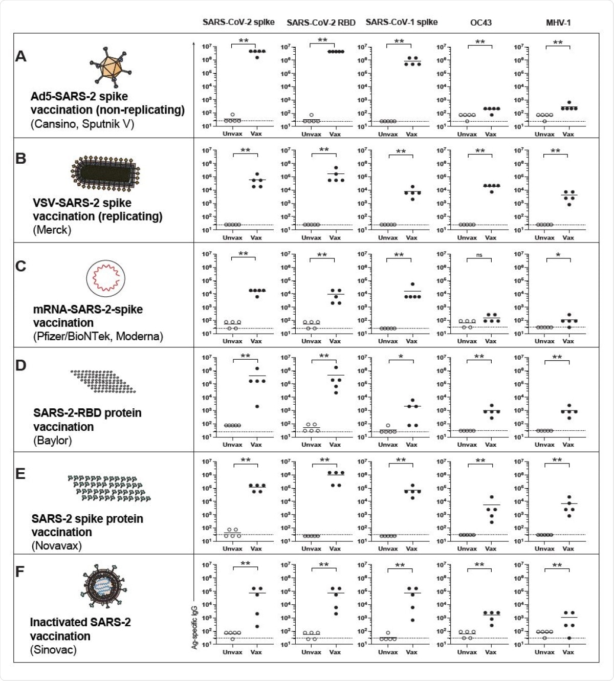 Cross-reactive antibody responses following SARS-CoV-2 vaccination in mice. (A) Antibody responses after Ad5-SARS-CoV-2 spike vaccination. (B) Antibody responses after VSV-SARS-CoV-2 spike vaccination. (C) Antibody responses after mRNA-SARS-CoV-2 spike vaccination. (D) Antibody responses after SARS-CoV-2 RBD vaccination. (E) Antibody responses after SARS-CoV-2 “whole” spike vaccination. (F) Antibody responses after inactivated SARS-CoV-2 vaccination. Mice were primed intramuscularly and boosted after 3 weeks (see Materials and Methods for vaccine dosing information). Antibody responses were evaluated by ELISA at week 2 post-boost. Experiments were done using wild type C57BL/6 mice, except for VSV-SARSCoV- 2 spike vaccination, which used k18-hACE2 (C57BL/6) mice. In each panel we indicate in parenthesis examples of clinically approved and experimental SARS-CoV-2 vaccines that are based on the same vaccine modality. Dashed lines represent limit of detection. Data are from 1 representative experiment with