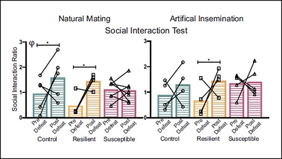 Research reveals paternal transmission of stress responses to offspring via sperm