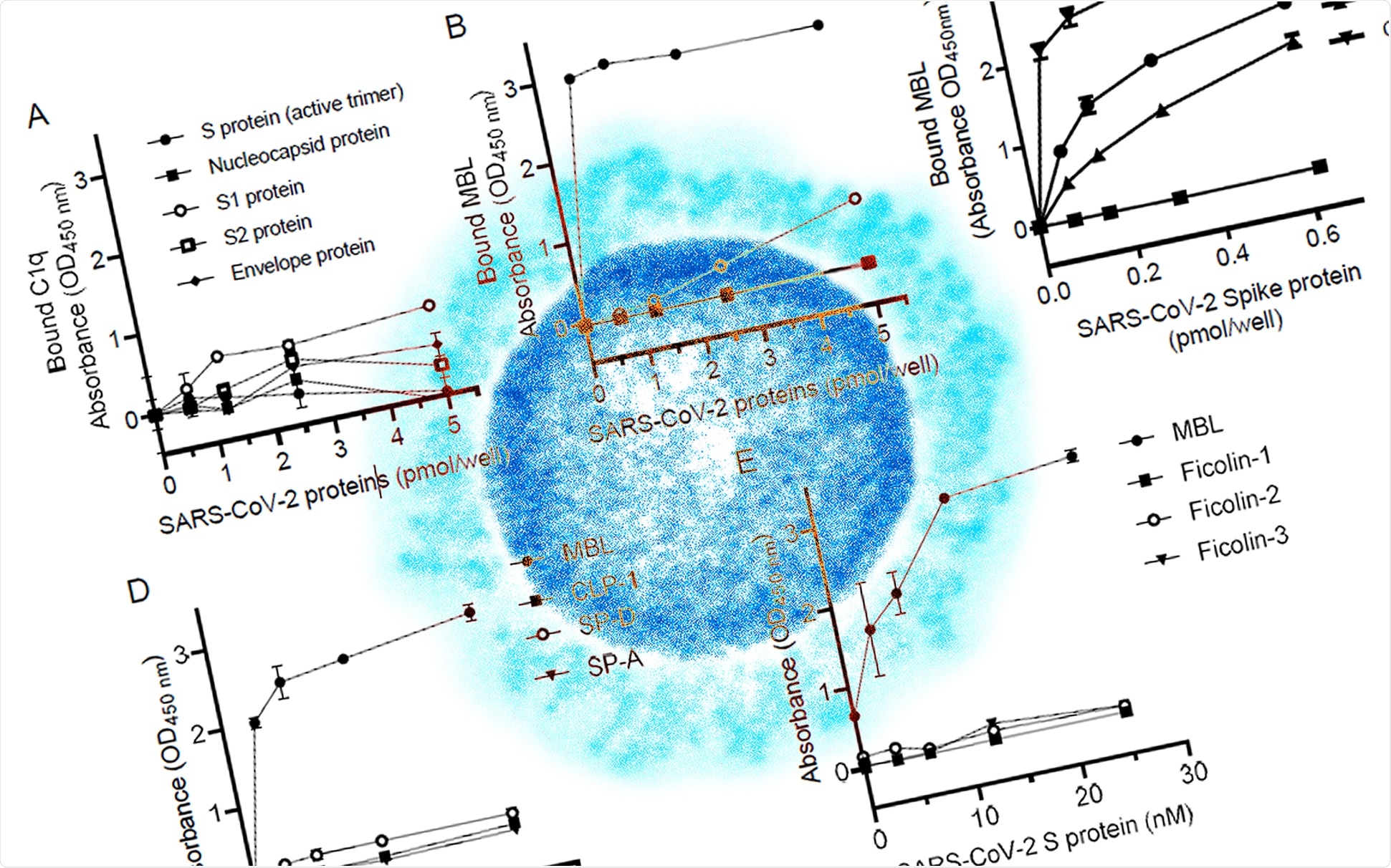 Study: Recognition and inhibition of SARS-CoV-2 by humoral innate immunity pattern recognition molecules