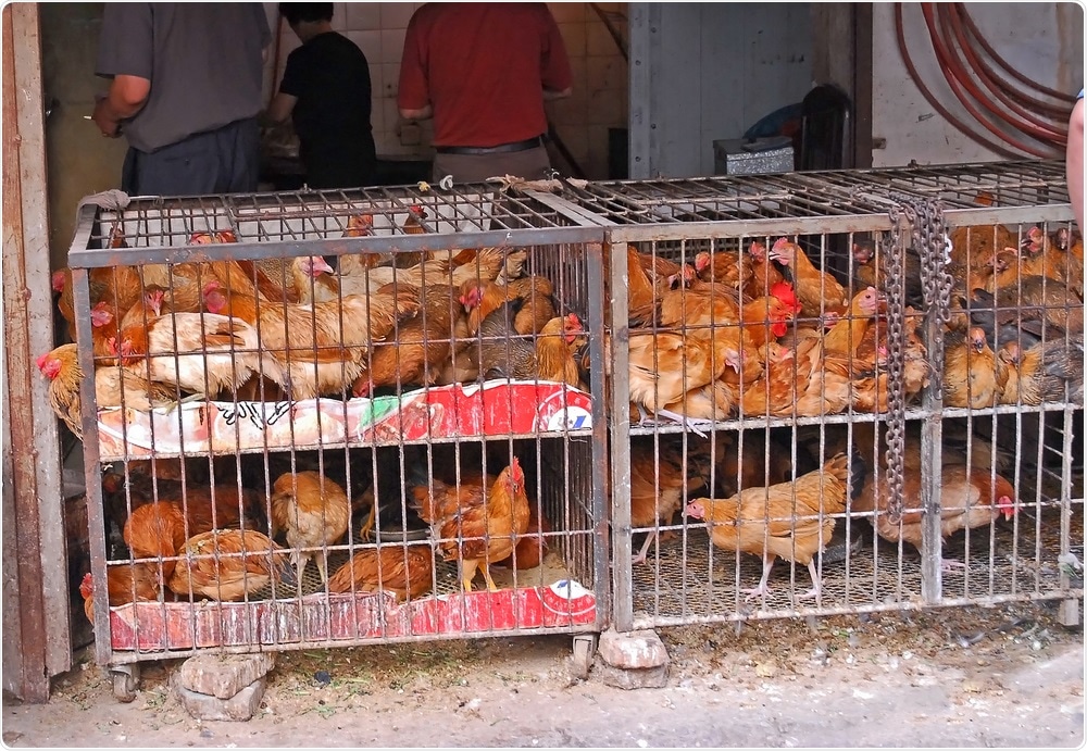 Nanjing, Jiangsu, China. Image Credit: Claudio Zaccherini / Shutterstock