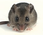 SARS-CoV-2 infection and transmission in the North American deer mouse