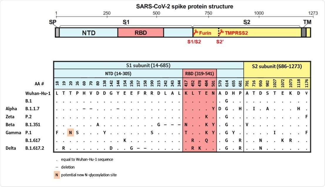 Spike protein schematic structure and alignment of substitutions in SARS‐CoV‐2 variants  evaluated in this study. S, Spike protein; NTD, N‐terminal domain; RBD, receptor binding domain; SP,  signaling peptide; TM, transmembrane domain; AA, amino‐acid.