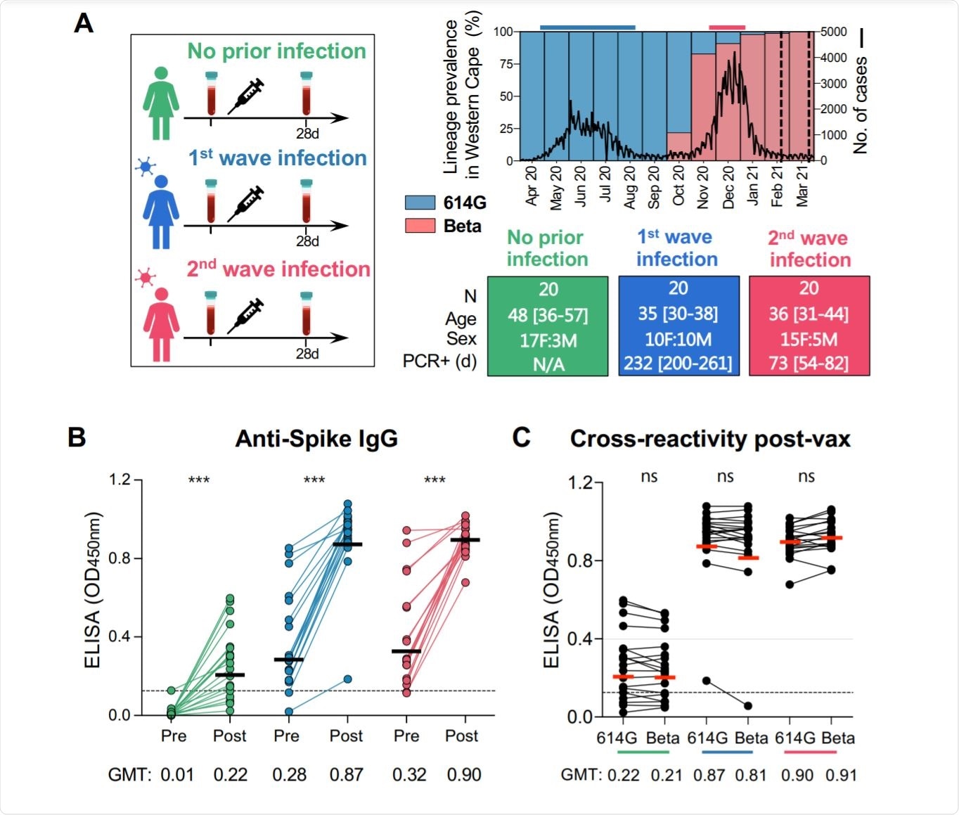 Study Results Study Results