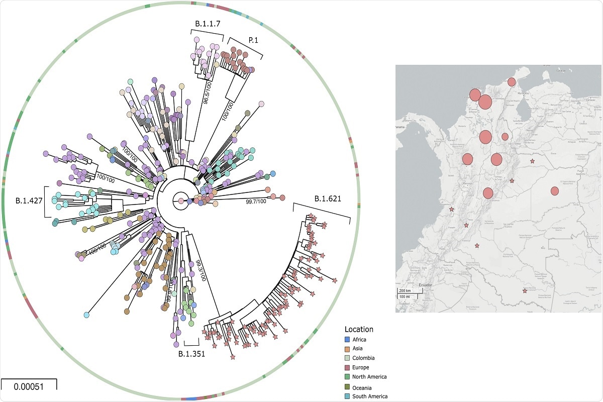 Fig. 2. Phylogeny and distribution of SARS-CoV-2 b.1.621 variant in Colombia 2a) Phylogenetic tree of the new lineage of SARS-CoV-2 emerging from B.1.621 lineage. The tree was reconstructed by maximum likelihood with the estimated GTR + F + I + G4 nucleotide substitution model for the dataset of 434 genomes. The interactive tree can be accessed in the following link: https://microreact.org/project/5CAiK3qCMaEgE4vYkKVpZW/b7113efc 2b) Map of distribution of lineages across the country.