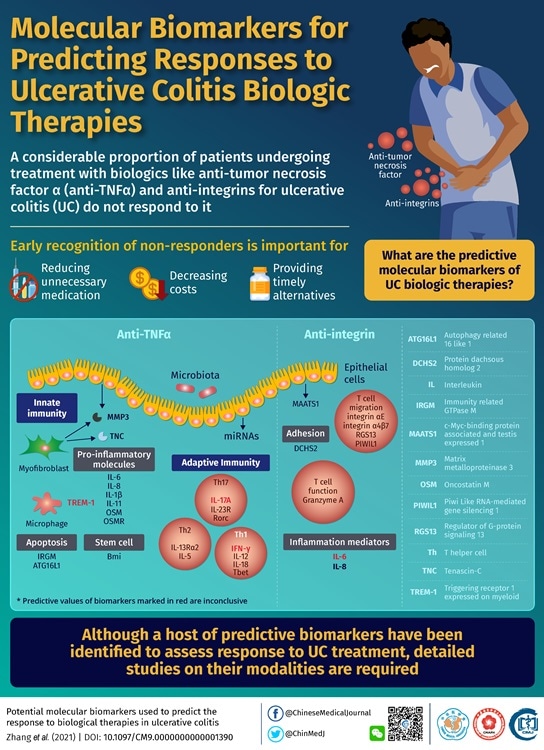 Flagging potential molecular predictors of response to biological therapies in ulcerative colitis