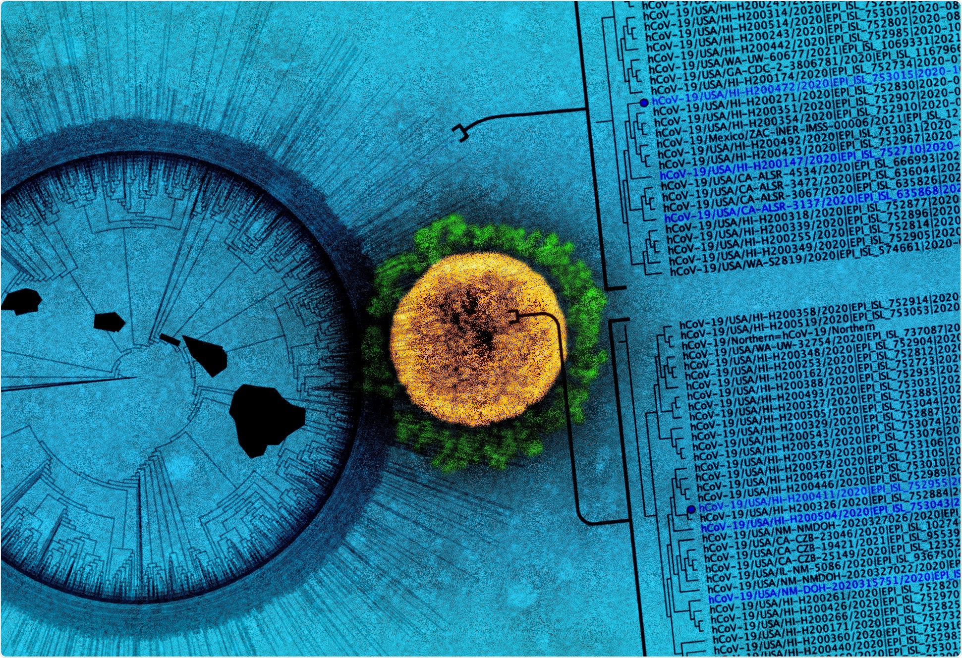 Study: Algorithm for the Quantitation of Variants of Concern for Rationally Designed Vaccines Based on the Isolation of SARS-CoV-2 Hawaiʻi Lineage B.1.243. Image Credit: NIAID