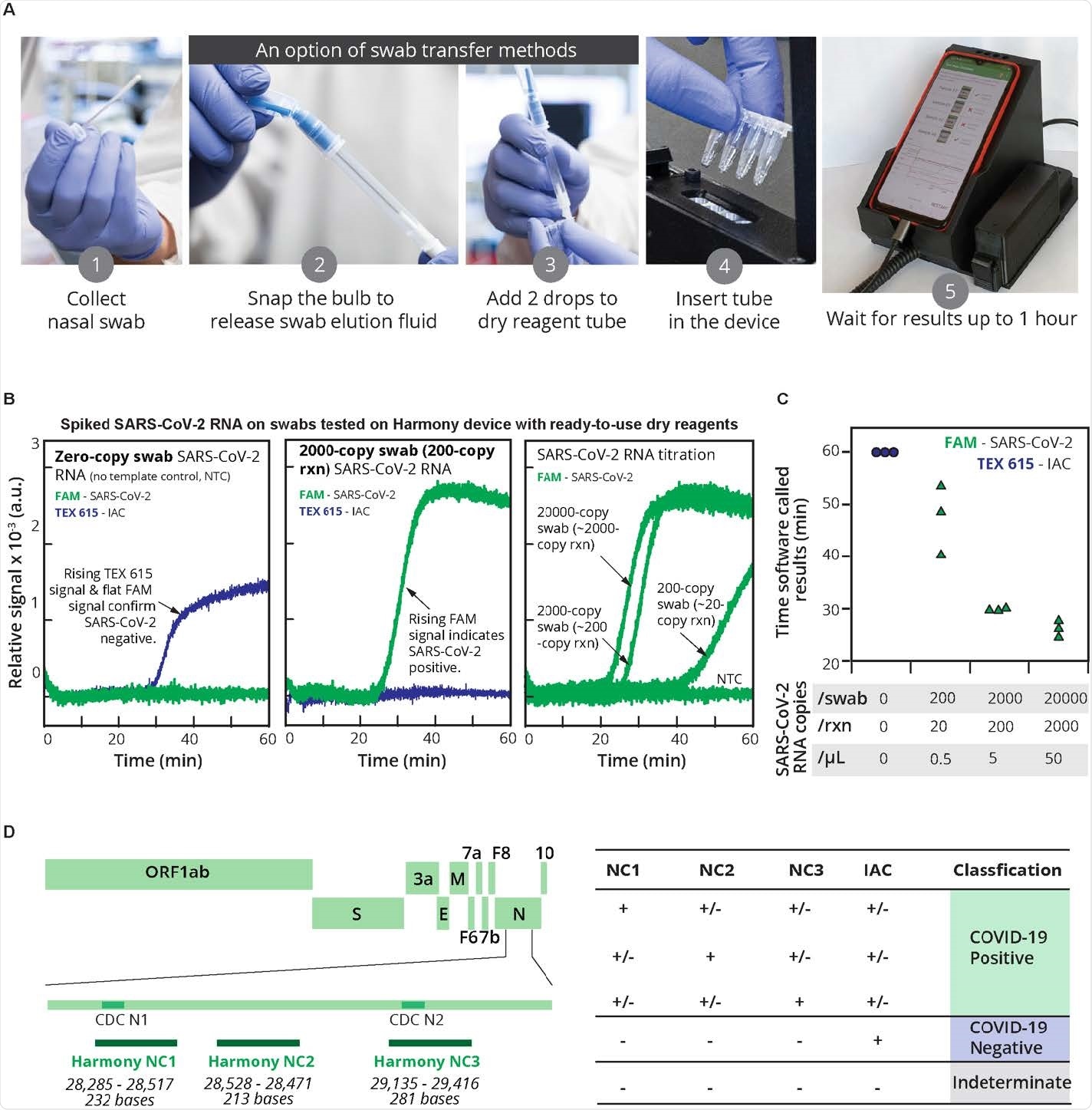 Harmony COVID-19 workflow, analytical performance, and interpretation. (A) User workflow. A nasal swab is collected and eluted in the rehydration buffer using either a unified sampler-dispenser (shown) or a tube-and-bulb method (Fig. 8). The swab eluate is then transferred into the reaction tube to rehydrate lyophilized, pre loaded RT-LAMP reagents. Users follow the instructions on the cell phone app to record the sample identity, insert the tube in the test slot, and close the device. Four samples can be analyzed in parallel. (Photo credits: (A)1-(A)4, Mark Stone at the University of Washington and (A)5, Christopher Snyder at North Seattle College). (B) Examples of on-device analysis. Lyophilized reagents were rehydrated with the eluate from swabs spiked with 0, 200, 2000, or 20,000 copies of SARS-CoV-2 RNA, run on the device, and analyzed in real-time. The samples with SARS-CoV-2 RNA at 2000, 200, and 20 copies/reaction (rxn) were reported as positive by software at 27 min, 30 min, and 41 min, respectively; after 60 min the NTC reaction was classified as negative. (C) Time-to-result. Individual detection time points (n = 3) are plotted. Variation in detection time increases as samples approach the detection limit. (D) Diagnostic algorithm. Harmony COVID-19 software calls samples as positive, negative, or indeterminate based on detection of the three regions in the nucleocapsid gene (Harmony NC1 overlapping with the CDC N1 region, Harmony NC2 (overlapping with CDC N3 region excluded from the current kit), and Harmony NC3 overlapping with the CDC N2 region) and the engineered IAC sequence.