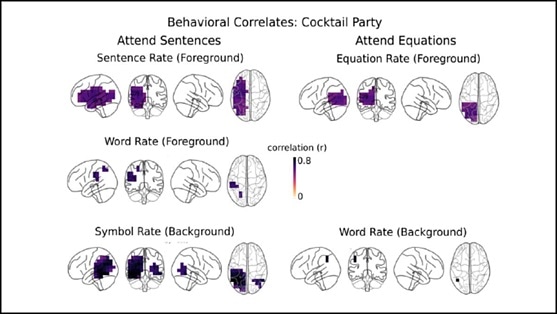 Math and language processed by separate networks in the brain, reveals research