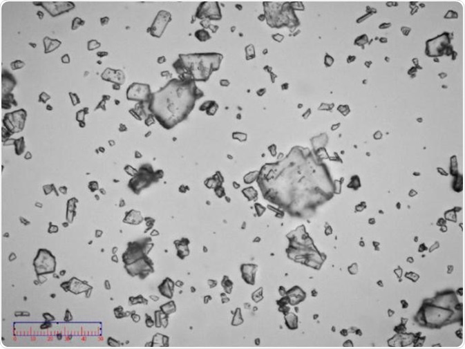 Image of non-micronized sample.