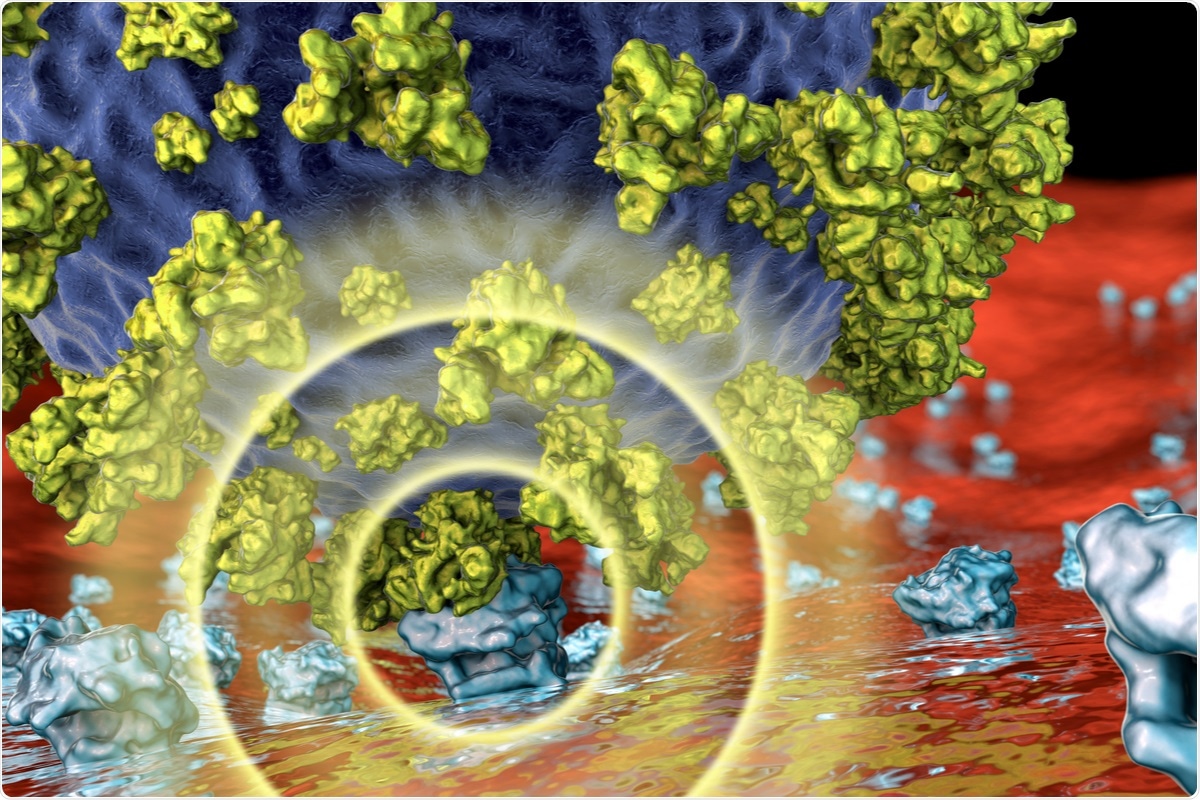 Study: SARS-CoV-2 susceptibility and ACE2 gene variations within diverse ethnic backgrounds. Image Credit: Kateryna Kon / Shutterstock