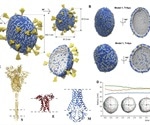 Scientists simulate SARS-CoV-2 virion envelope using Martini 3