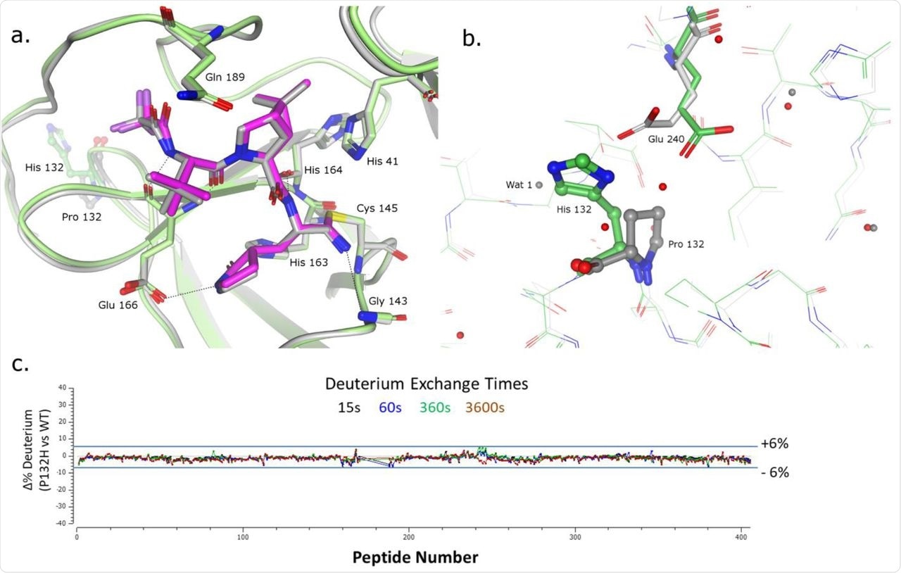 Structural Characterization of nirmatrelvir bound to SARS-Cov-2-MproP132H. (a) Superposition of the x-ray crystal structures of nirmatrelvir bound to SARS-Cov-2-Mpro P132H (in magenta and green) and wildtype SARS-CoV-2-Mpro (grey). Key interactions are indicated via dashed lines. (b) Residues surrounding Proline 132 (in ball & stick representation) (c) Residual deuterium exchange plot indicates no significant differential uptake between wild-type and P132H SARS-CoV-2-Mpro.