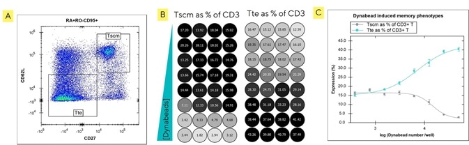 Pre-set gating templates in iQue Forecyt® provide automated phenotyping of T cell subsets.
