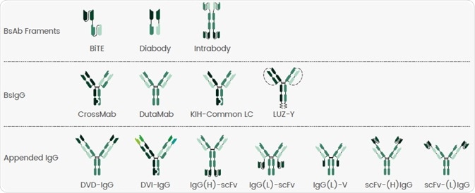 Our Experience with Diverse BsAb Formats.
