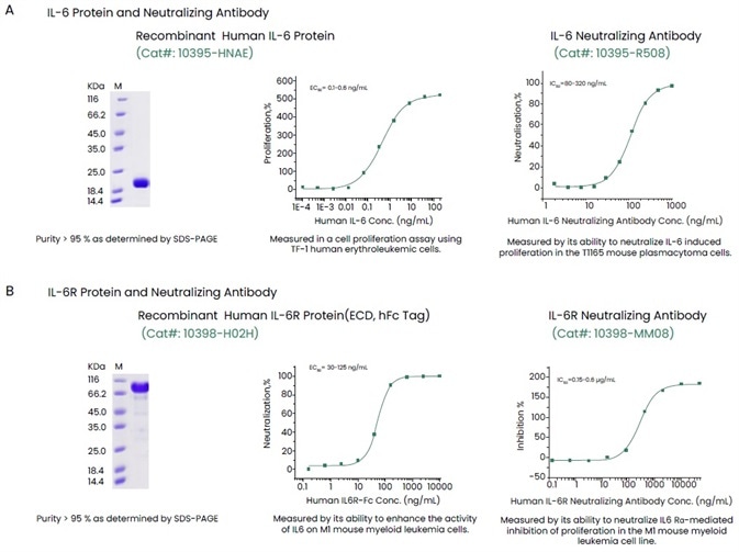 Examples of High-quality IL-6, IL-6R and Their Antibodies.