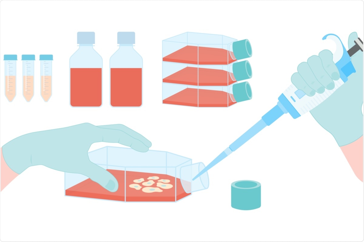 Study: Generation of human tonsil epithelial organoids as an ex vivo model for SARS-CoV-2 infection. Image Credit: rumruay / Shutterstock.com