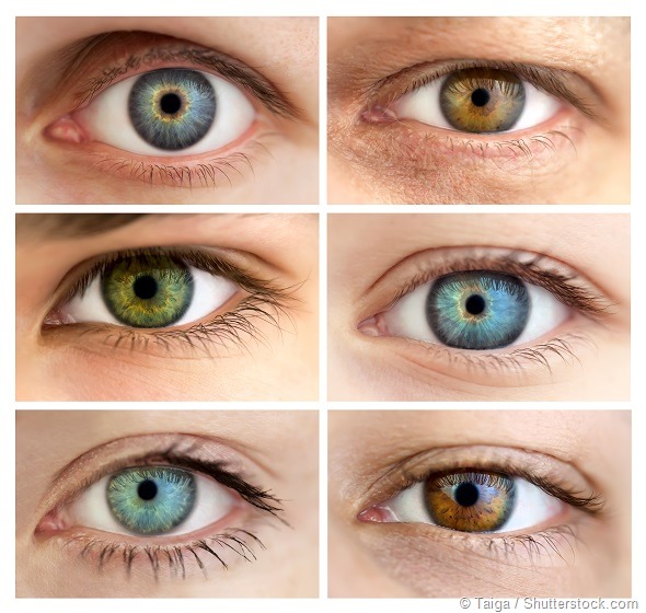 Eyes gender