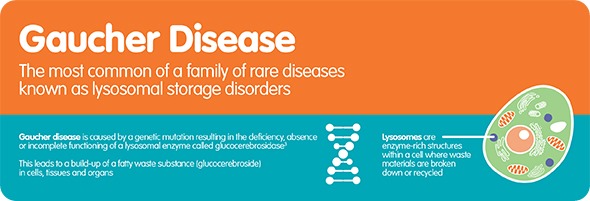 Gaucher