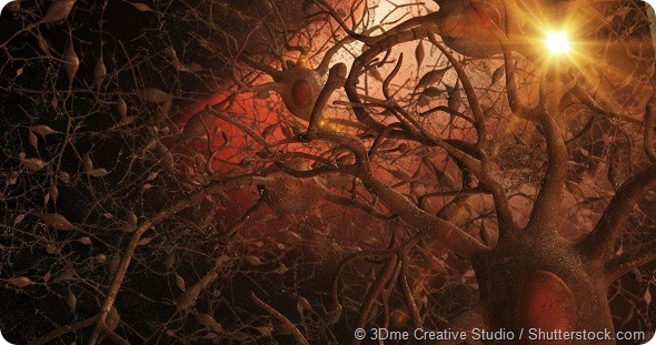 Microscopic view of 3D neurones within the brain