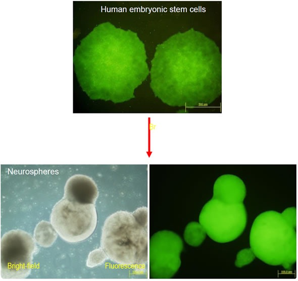 Untitled-18 Untitled-18