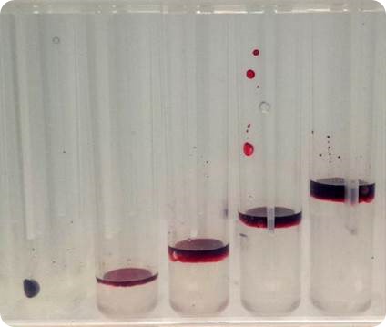 Figure 4. U-shaped 96-well plate before mixing