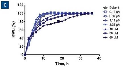 Effect of blebbistatin on the migration and invasion of HT-1080 cells