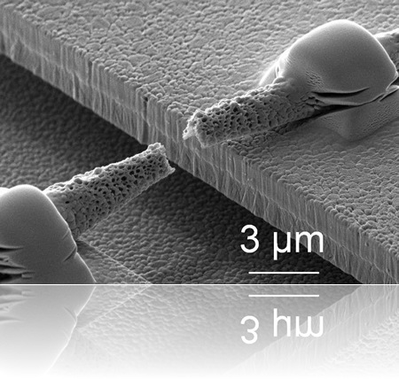 Torn single fiber after a tensile test in the micro-testing machine