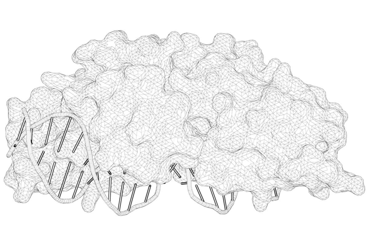 Image Credit: Xeroderma Pigmentosum/Shutterstock