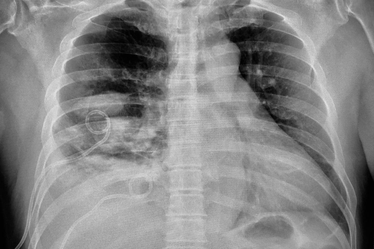 Image Credit: Good Image Studio/Shutterstock